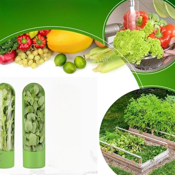 Boite de Rangement de Cuisine - VeggieCrisp™ - Vert - Monde du Rangement